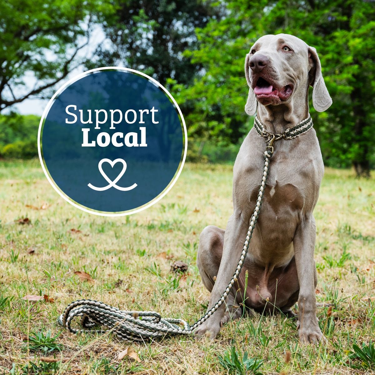 JOCK Multistage Dry Dog Food - 20kg — by Seller — Pet Supplies — new product in South Africa